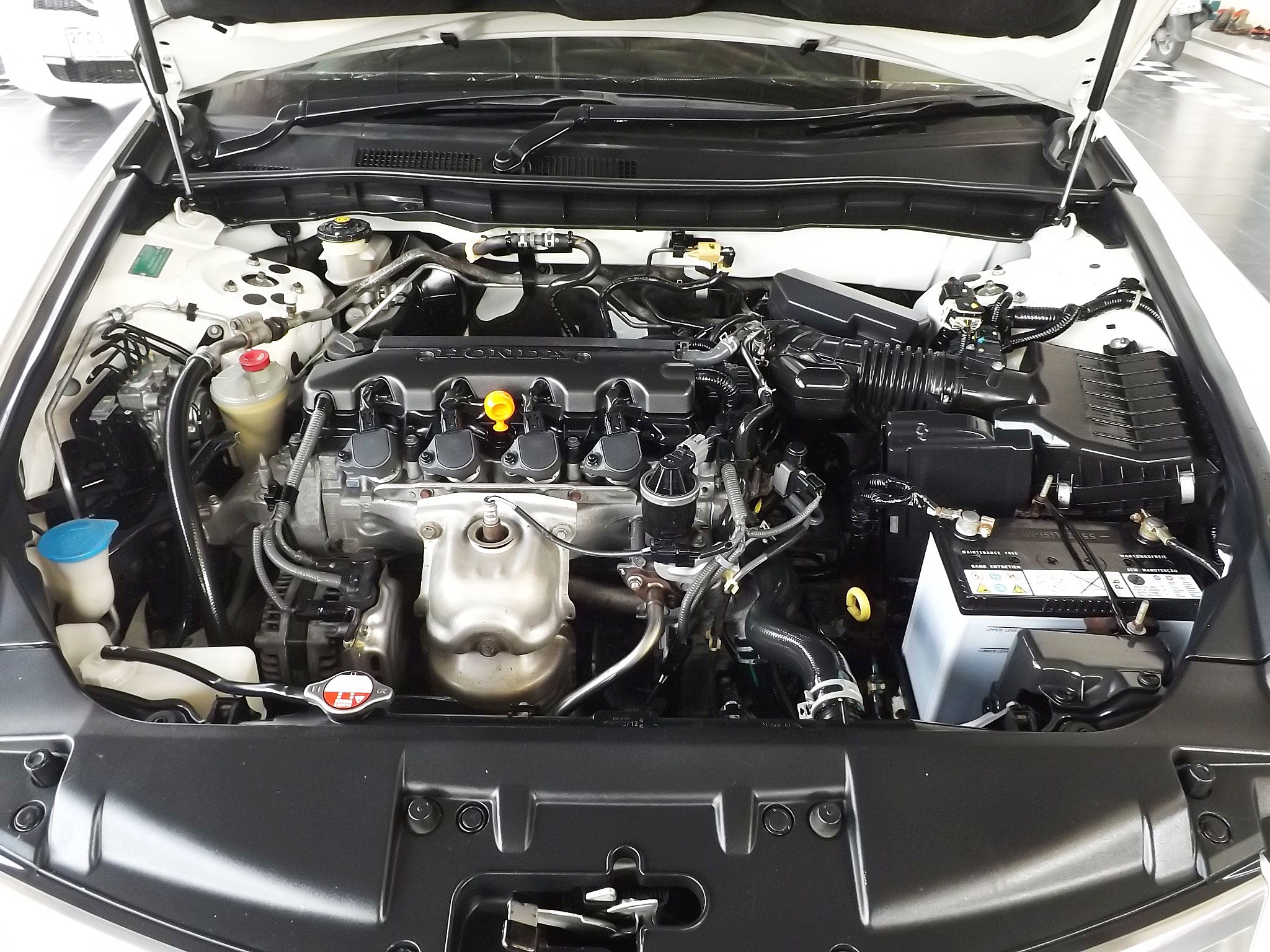 Honda Accord Gen 8 ปี 2010 สีขาว (รูปที่ 13)