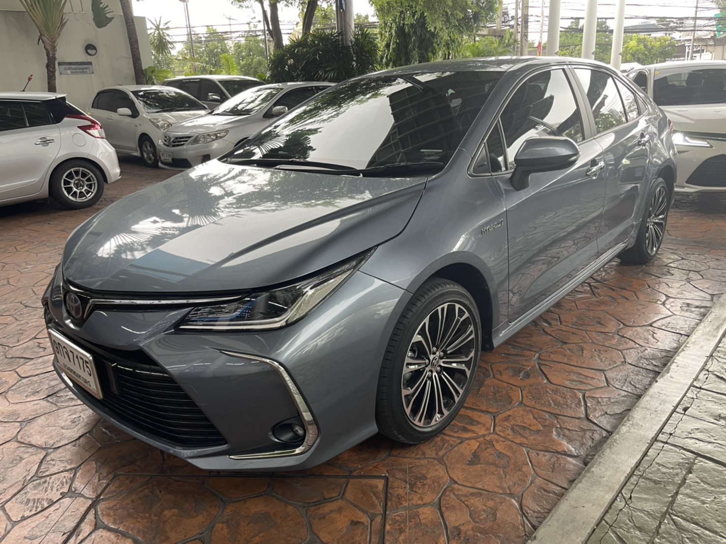 TOYOTA ALTIS 1.8 HV HI A/T ปี2019