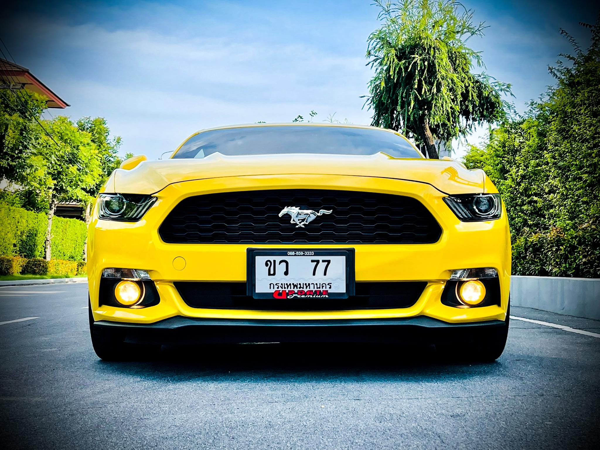 Ford Mustang 2.3 Ecoboost หมื่นโล ใหม่จัด (รูปที่ 3)