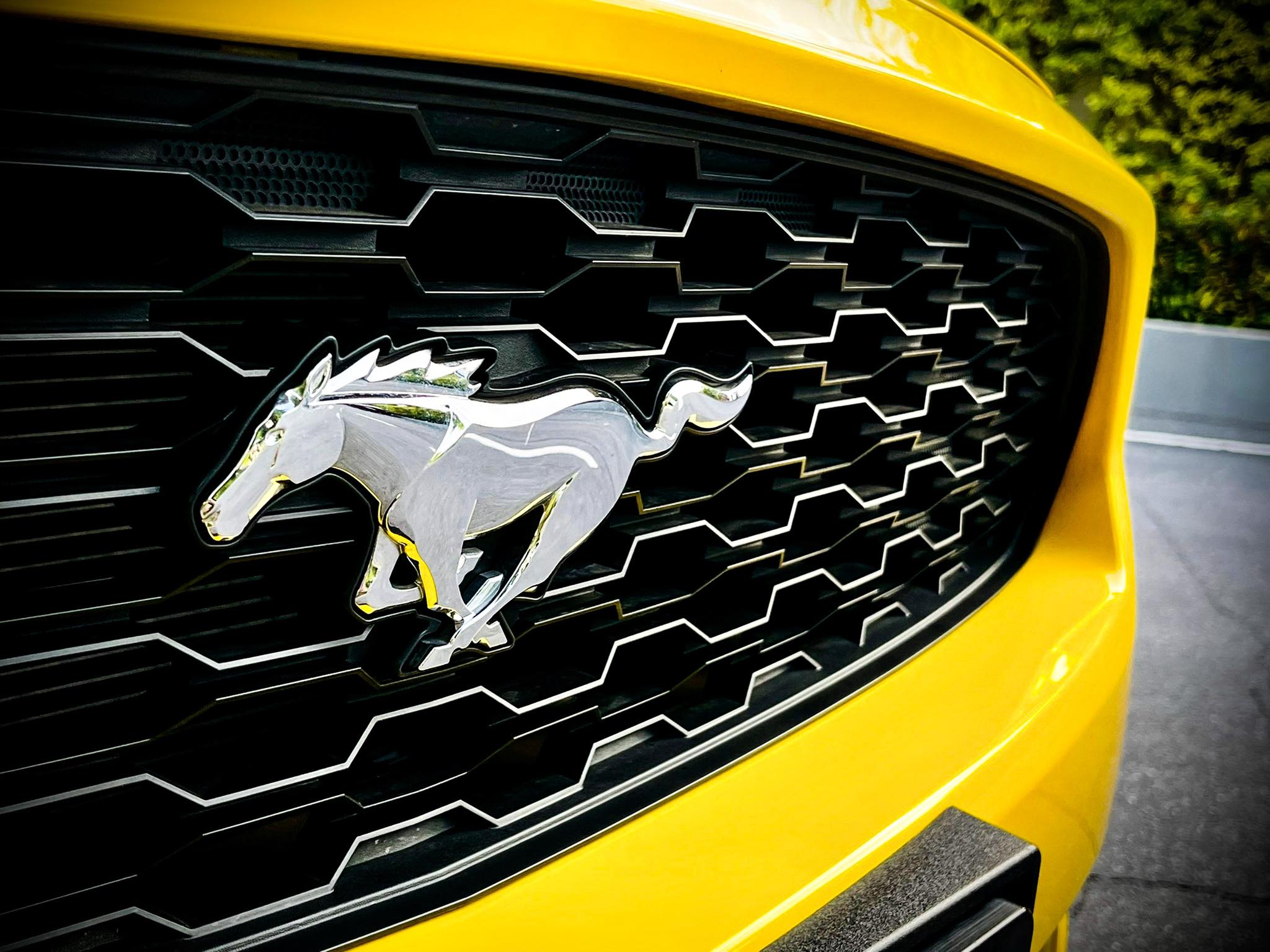 Ford Mustang 2.3 Ecoboost หมื่นโล ใหม่จัด (รูปที่ 7)