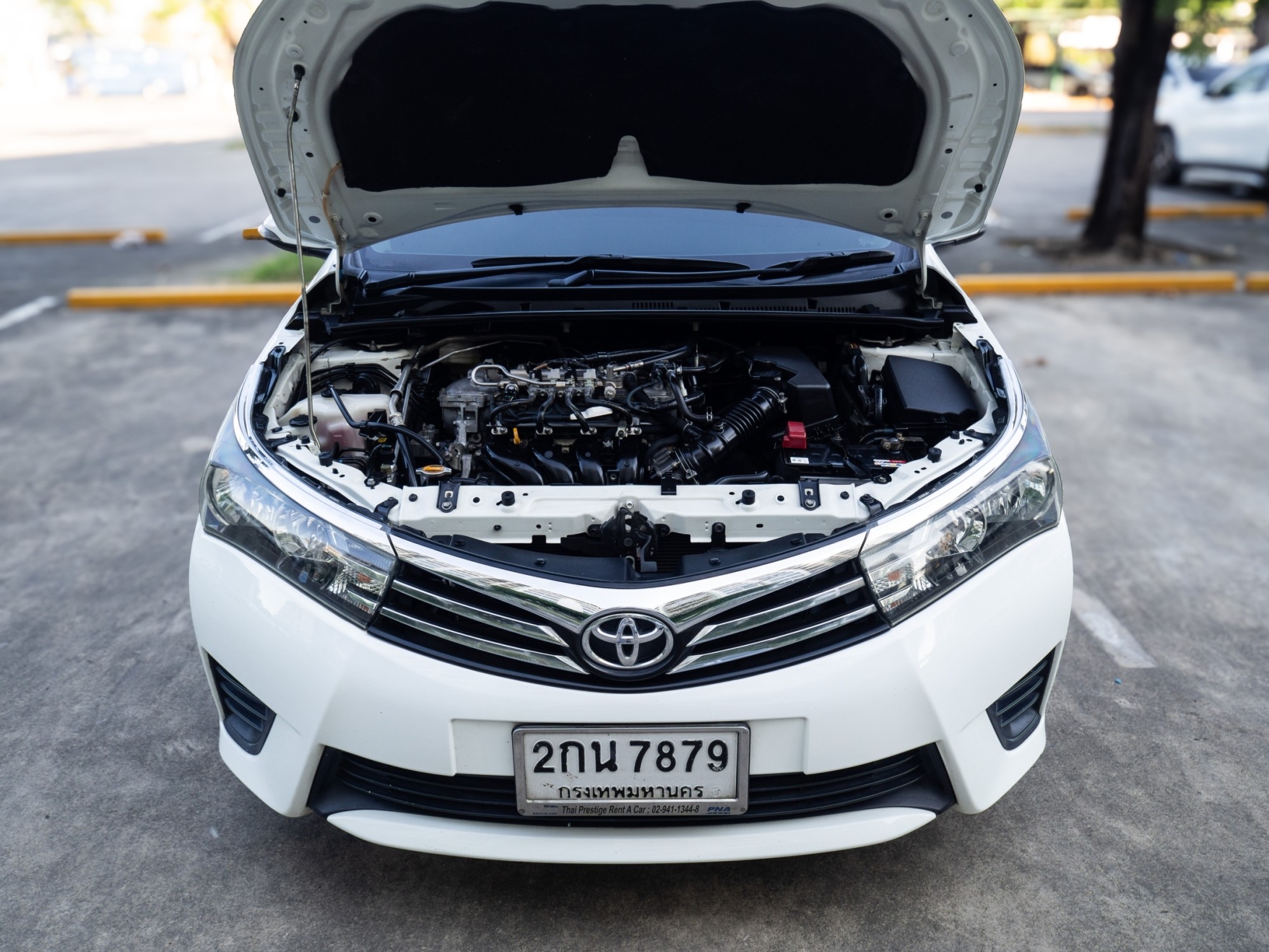 2014 Toyota ALTIS 1.6E CNG สีขาว