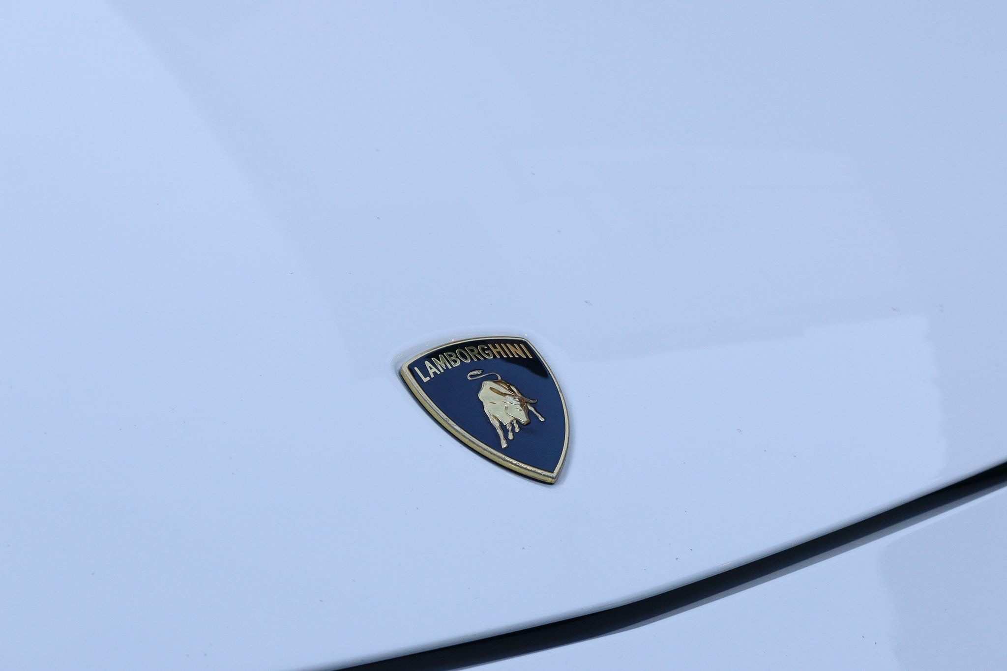 Lamborghini Gallardo ปี 2013 สีขาว