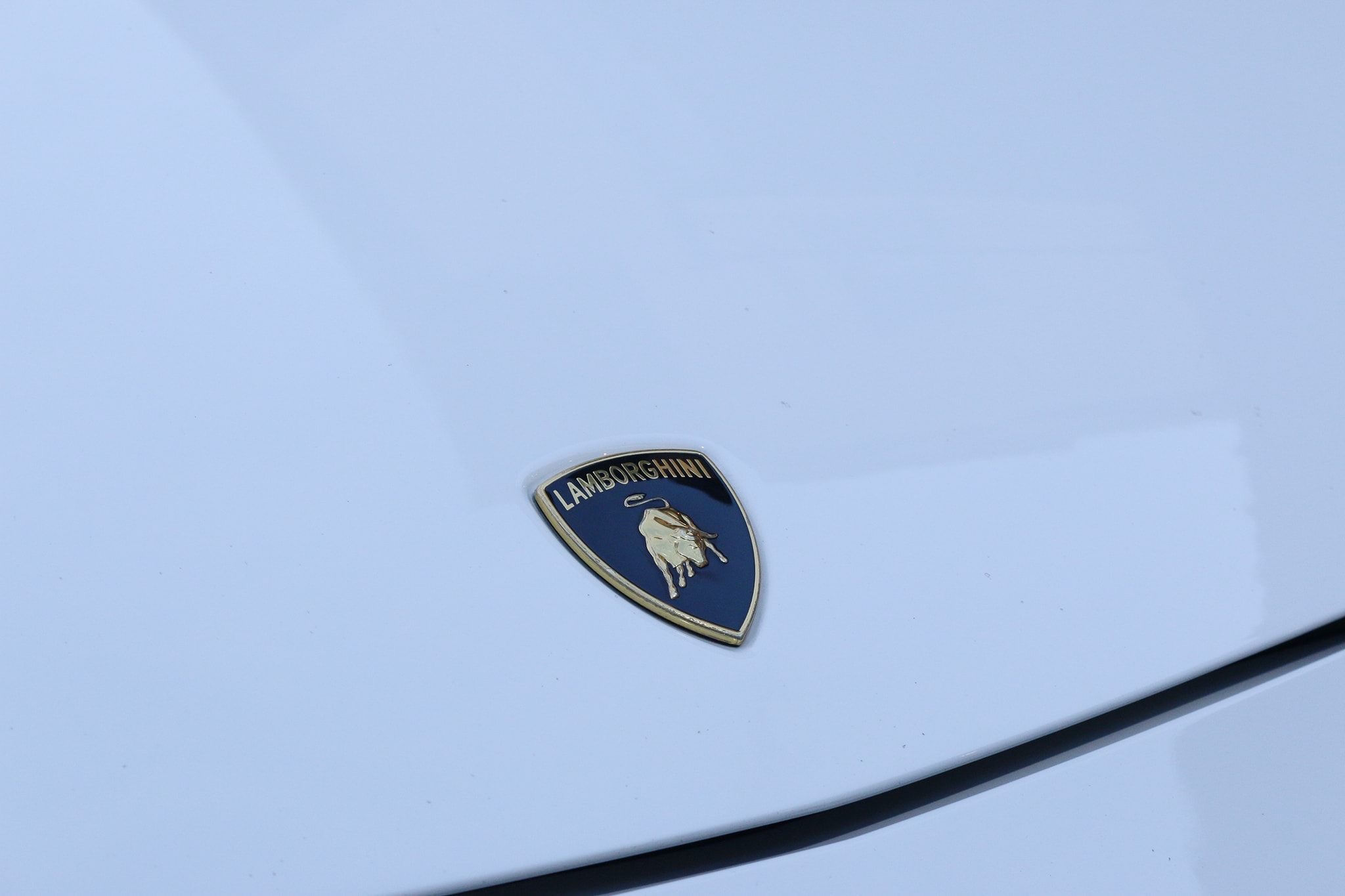 Lamborghini Gallardo ปี 2013 สีขาว (รูปที่ 5)